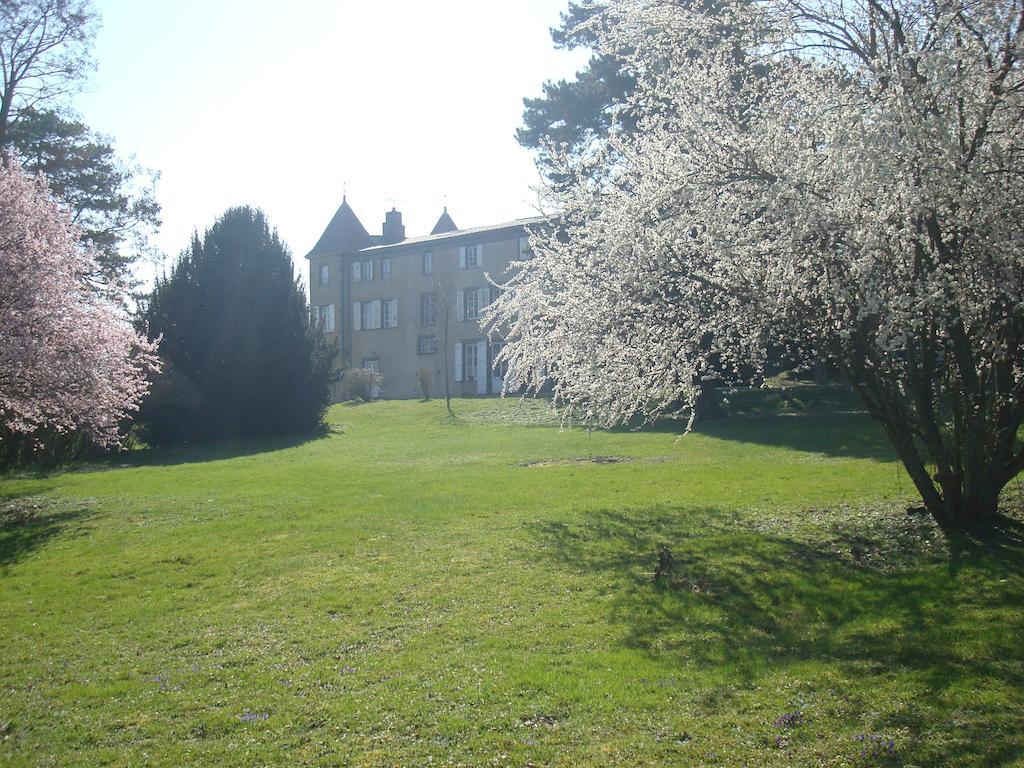 Bed and Breakfast Chateau De Bourrassol Menetrol Екстер'єр фото
